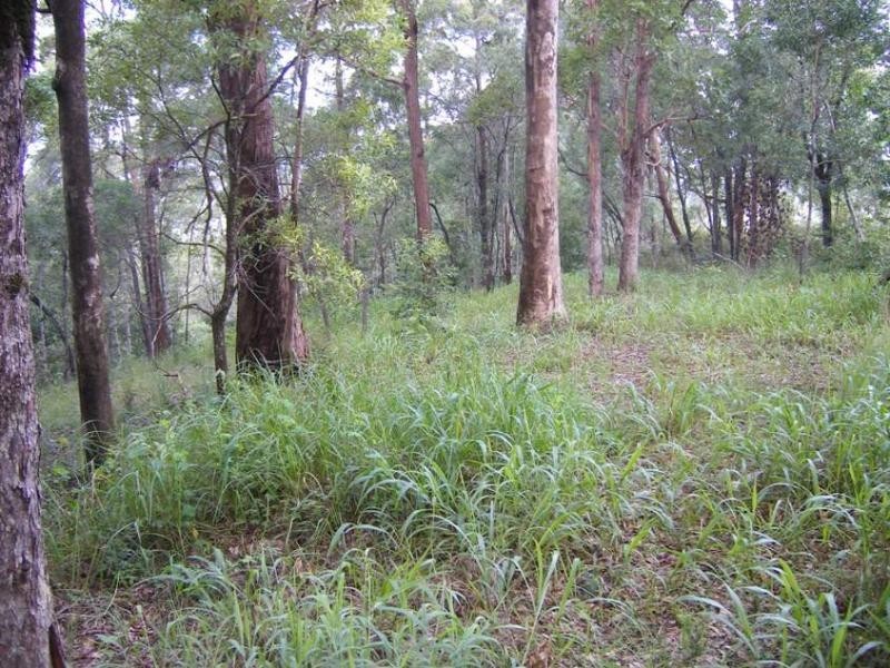 West Woombye QLD 4559
