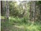 West Woombye QLD 4559