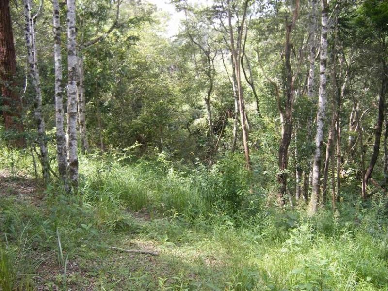 West Woombye QLD 4559