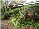 101 PANORAMA DRIVE, Rosemount QLD 4560