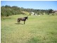 Mapleton QLD 4560