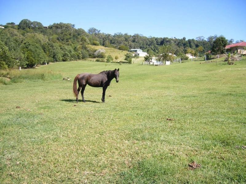 Mapleton QLD 4560