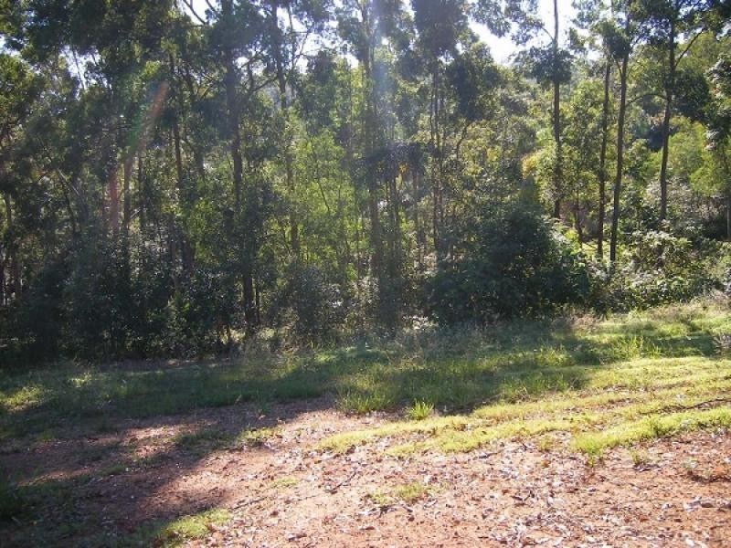Buderim QLD 4556