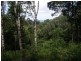 557 Dulong Road, Dulong QLD 4560