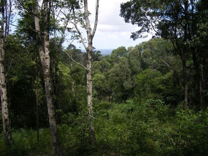 557 Dulong Road, Dulong QLD 4560