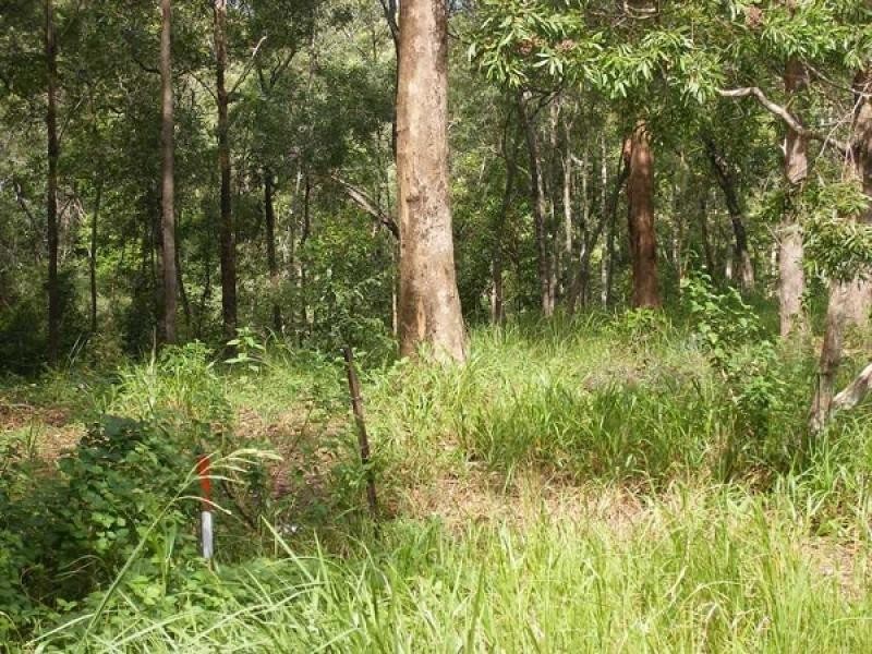 557 Dulong Road, Dulong QLD 4560