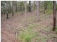Towen Mountain QLD 4560