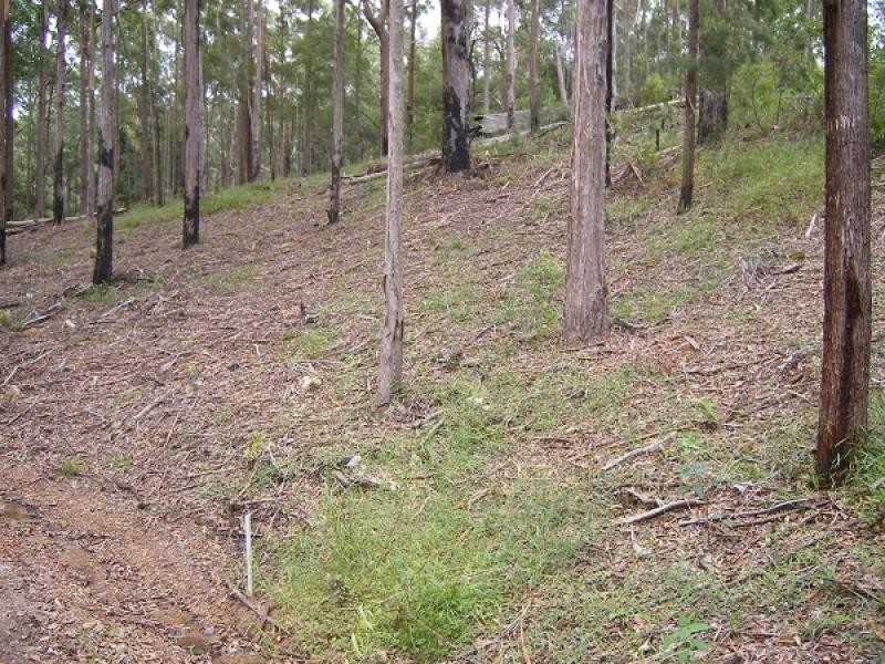 Towen Mountain QLD 4560