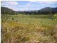 Cambroon QLD 4552