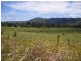 Cambroon QLD 4552