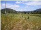 Cambroon QLD 4552