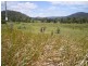 Cambroon QLD 4552