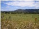Cambroon QLD 4552