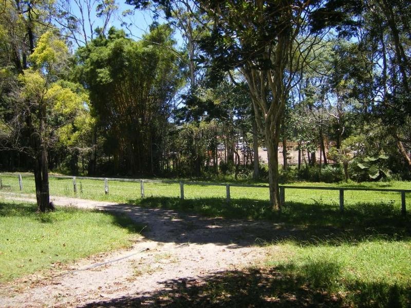 55 Palmwoods School Road, Palmwoods QLD 4555