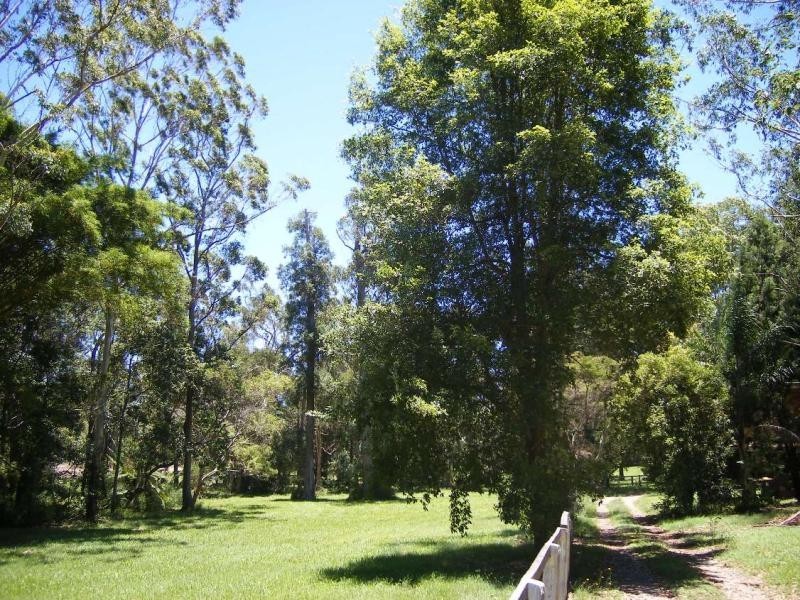 55 Palmwoods School Road, Palmwoods QLD 4555