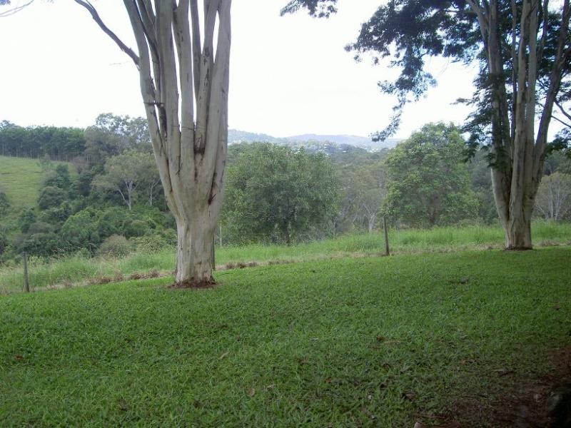 Perwillowen QLD 4560
