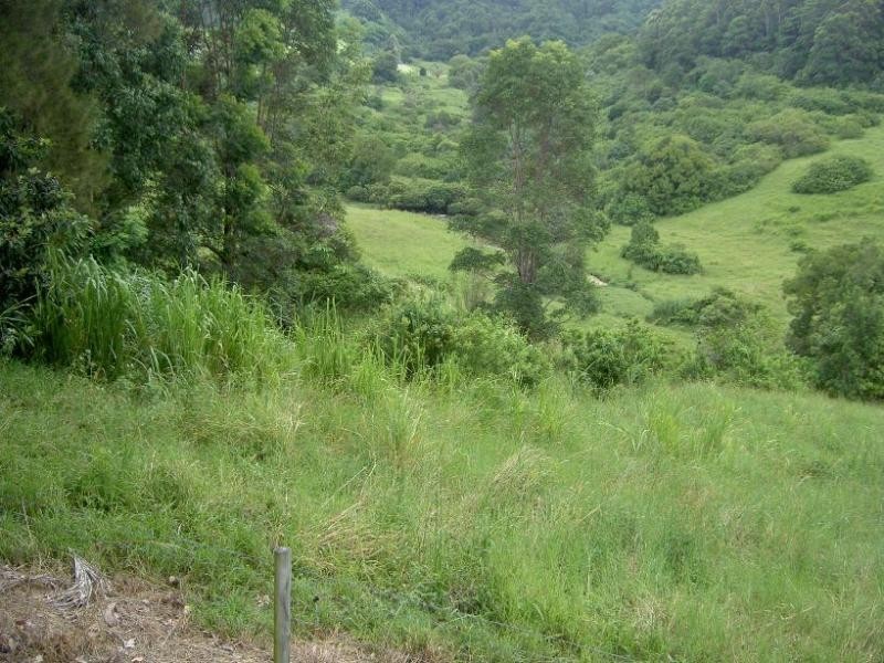 Perwillowen QLD 4560