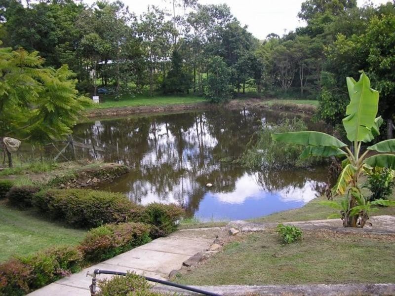 Witta QLD 4552