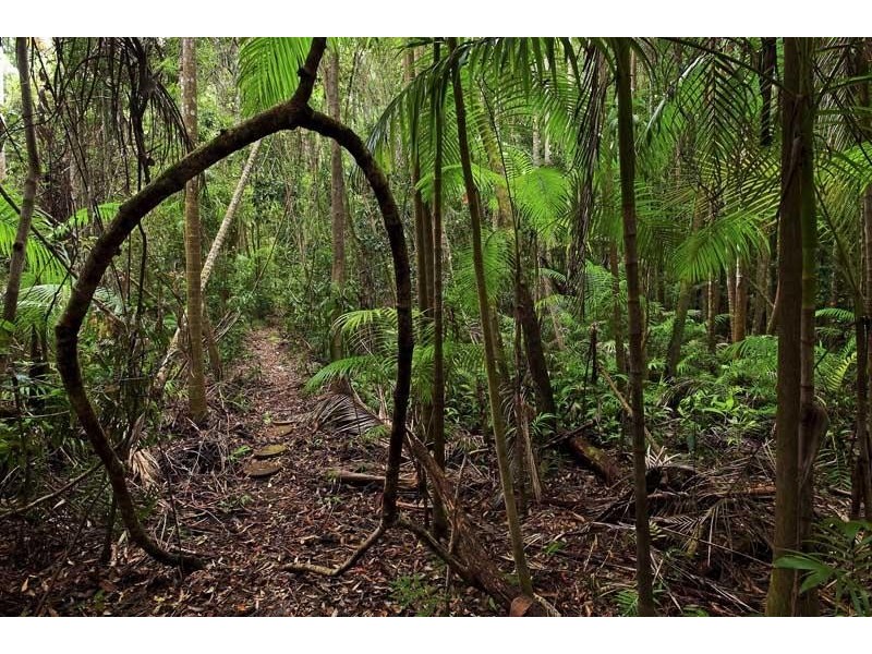 52 Atkinsons Road, Woombye QLD 4559