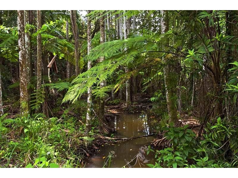 52 Atkinsons Road, Woombye QLD 4559