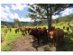 215 Eastern Mary River Road, Conondale QLD 4552