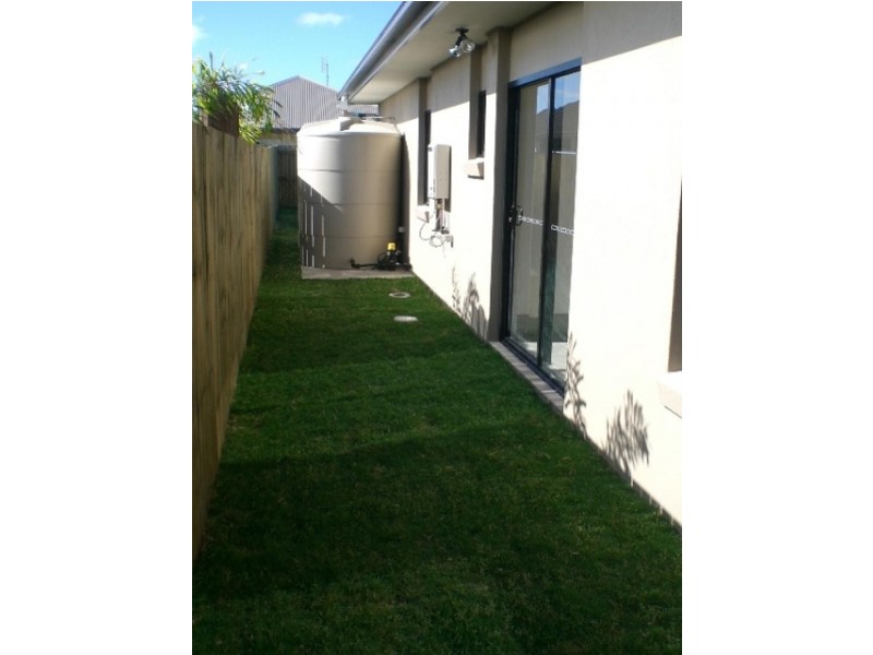 12 Ribbonwood Street, Sippy Downs QLD 4556