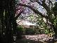 Woombye QLD 4559