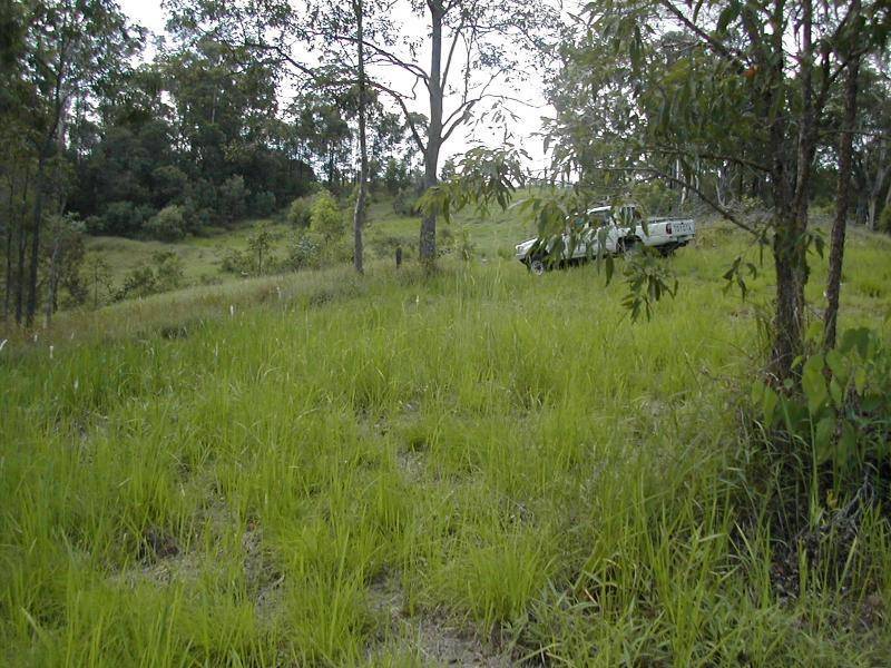 LOT 4 TUNNEL RIDGE ROAD, Mooloolah Valley QLD 4553