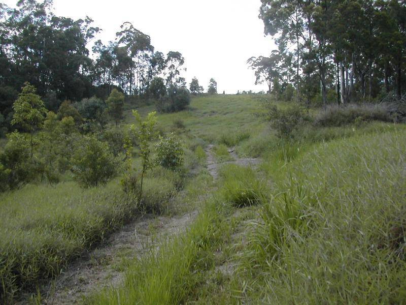 LOT 4 TUNNEL RIDGE ROAD, Mooloolah Valley QLD 4553