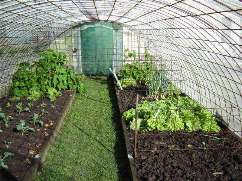 3322 OLD GYMPIE ROAD, Landsborough QLD 4550