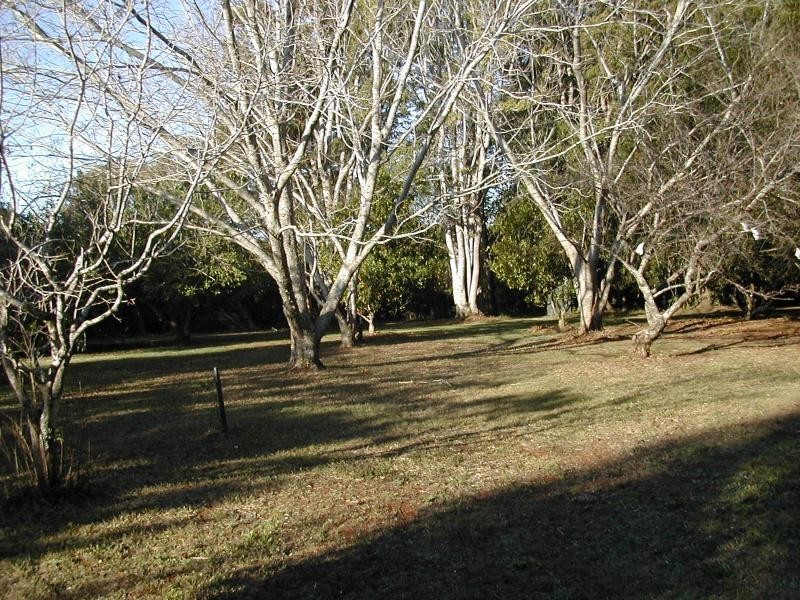 41 ALICE DIXON DRIVE, Flaxton QLD 4560