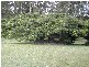 72 PASKINS ROAD, Palmwoods QLD 4555