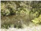 Ilkley QLD 4554