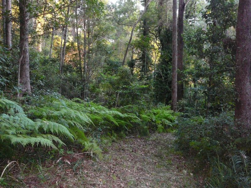 Ilkley QLD 4554