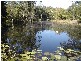 70 RAINFOREST ROAD, Chevallum QLD 4555