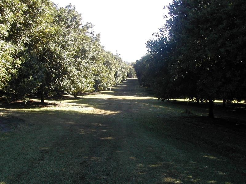 70 RAINFOREST ROAD, Chevallum QLD 4555