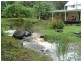 599 HUNCHY ROAD, Hunchy QLD 4555