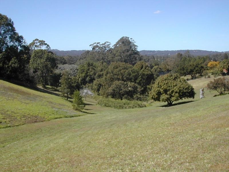 90-110 Woombye Palmwoods Rd, Palmwoods QLD 4555