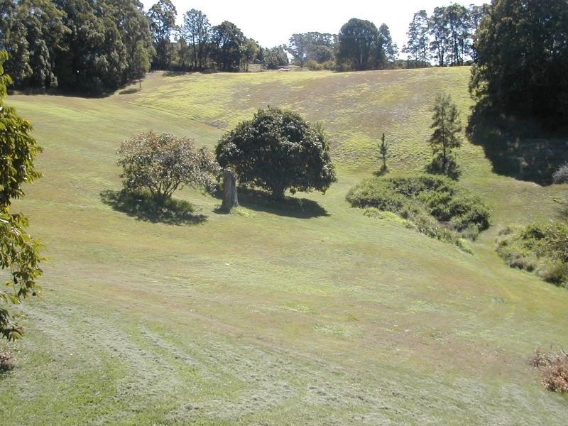 90-110 Woombye Palmwoods Rd, Palmwoods QLD 4555