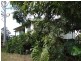 1 TESKE DRIVE, Palmwoods QLD 4555
