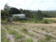 1 TESKE DRIVE, Palmwoods QLD 4555