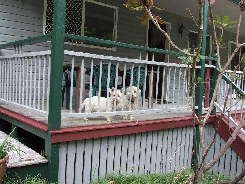 49 Dunning Street, Palmwoods QLD 4555