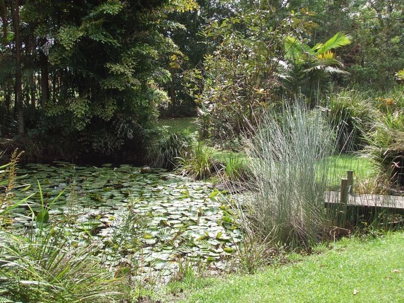49 Dunning Street, Palmwoods QLD 4555