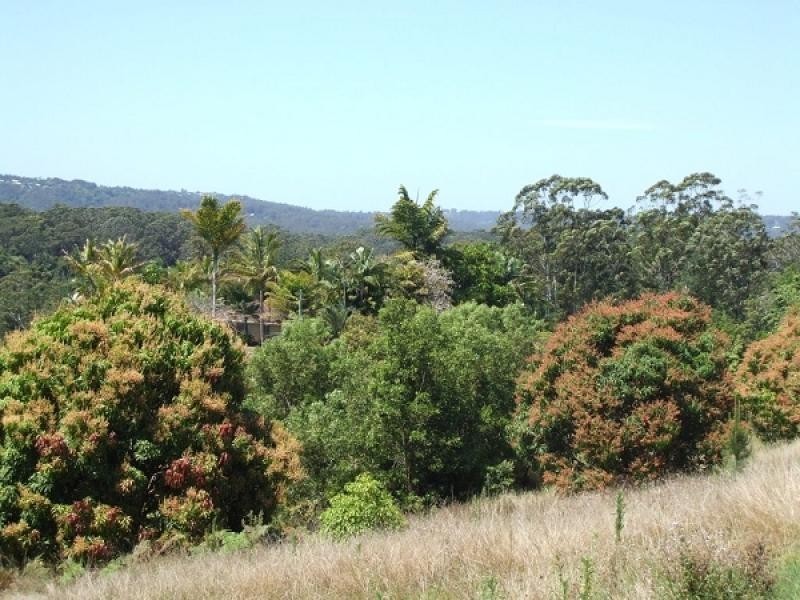 114 Kiel Mountain Road, Kiels Mountain QLD 4559