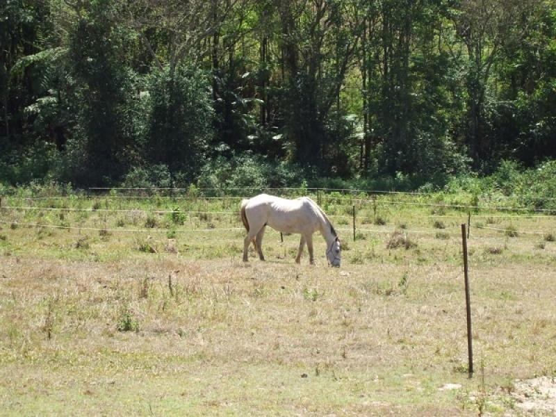 114 Kiel Mountain Road, Kiels Mountain QLD 4559