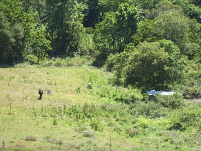 114 Kiel Mountain Road, Kiels Mountain QLD 4559