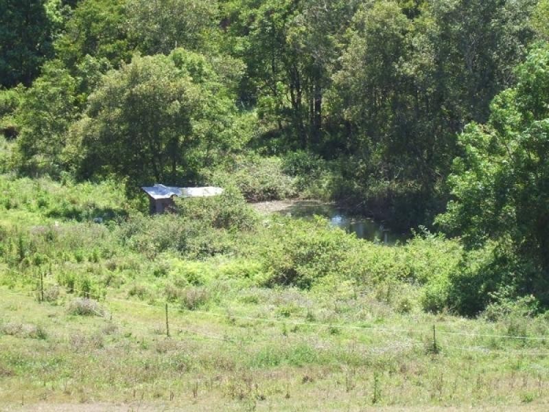 114 Kiel Mountain Road, Kiels Mountain QLD 4559