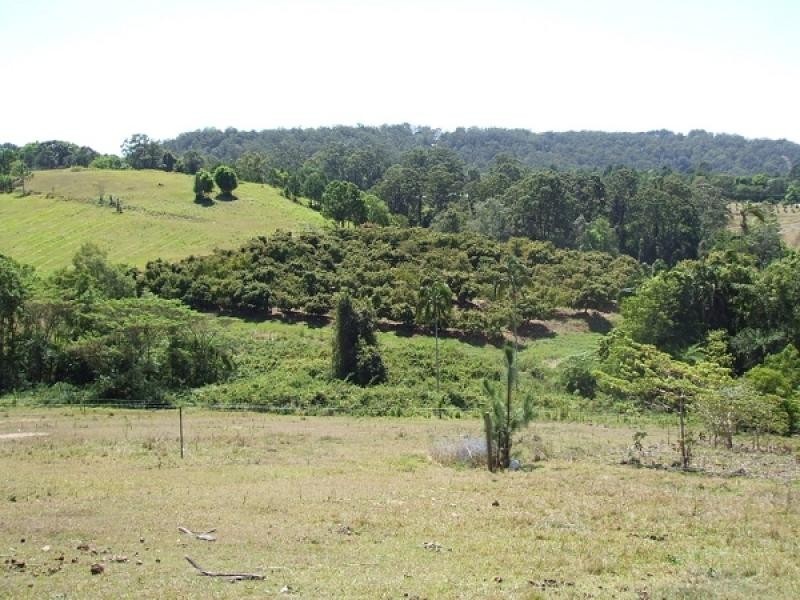 114 Kiel Mountain Road, Kiels Mountain QLD 4559