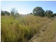 36 Fig Tree Lane, Lake Macdonald QLD 4563