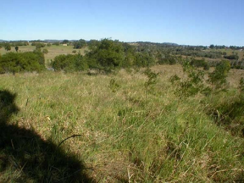 36 Fig Tree Lane, Lake Macdonald QLD 4563